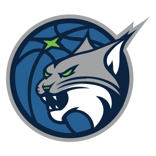 मिनेसोटा लिंक्स